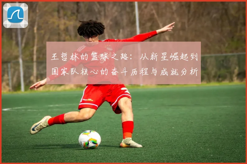 王哲林的篮球之路：从新星崛起到国家队核心的奋斗历程与成就分析