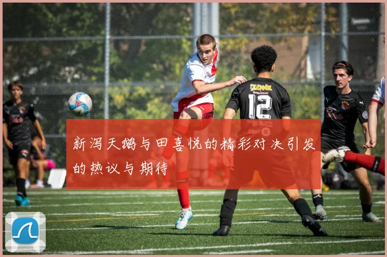 新泻天鹅与田喜悦的精彩对决引发的热议与期待