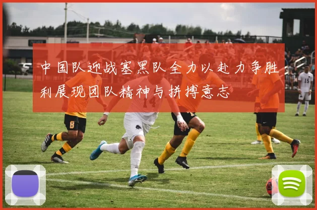 中国队迎战塞黑队全力以赴力争胜利展现团队精神与拼搏意志