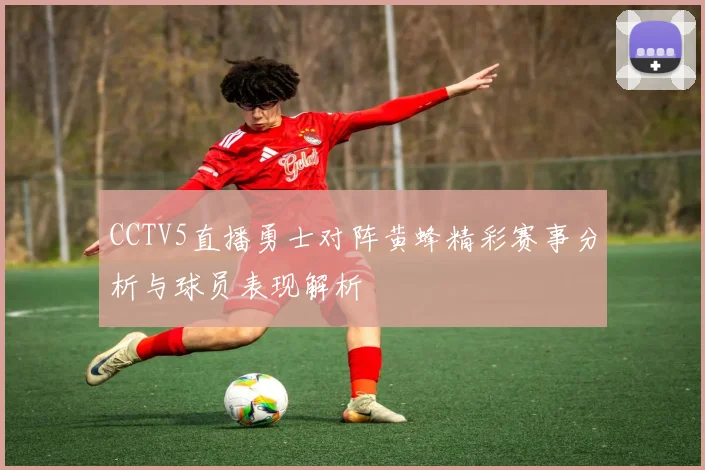 CCTV5直播勇士对阵黄蜂精彩赛事分析与球员表现解析