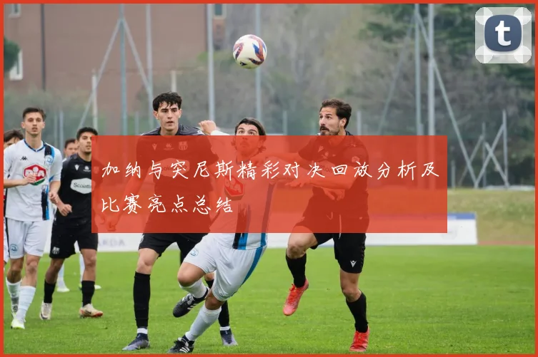 加纳与突尼斯精彩对决回放分析及比赛亮点总结