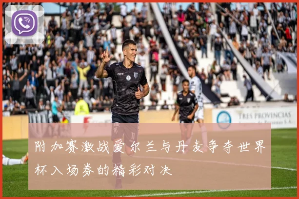 附加赛激战爱尔兰与丹麦争夺世界杯入场券的精彩对决