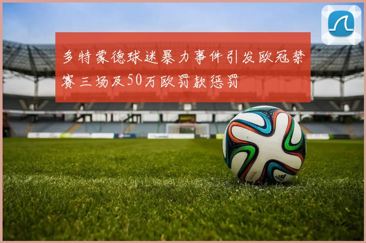 多特蒙德球迷暴力事件引发欧冠禁赛三场及50万欧罚款惩罚
